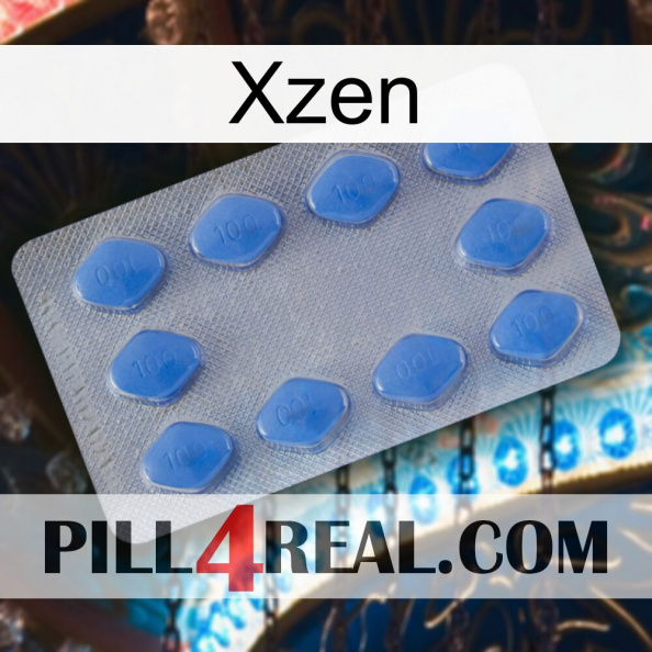 Xzen 21.jpg